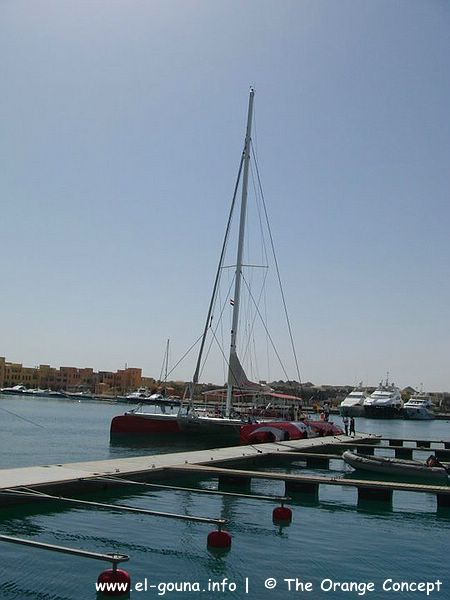 Ocean Diva-2  004
